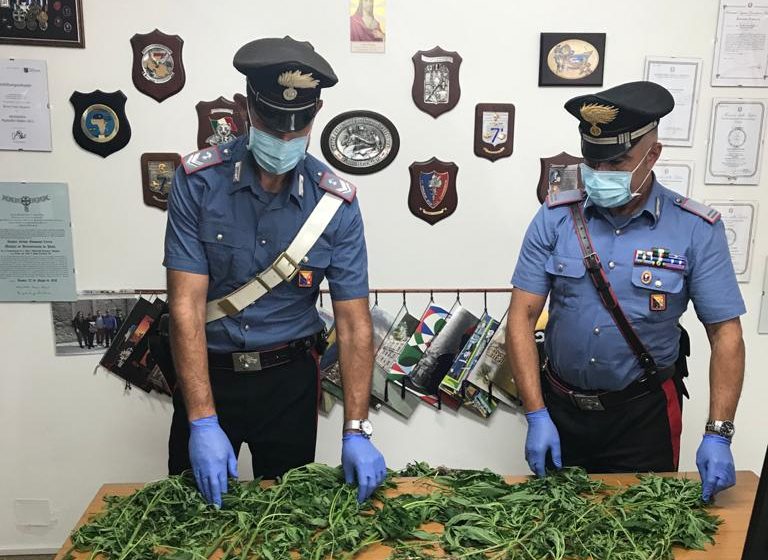 Coltivazione di droga, scatta l’arresto dei carabinieri