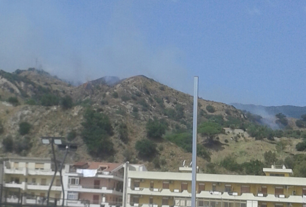 Zona Sud nella morsa degli incendi