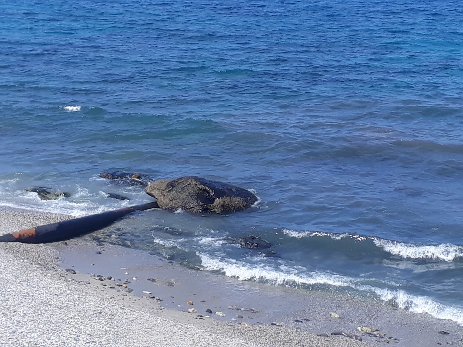 Acqualadroni, escrementi e fetore vicino al depuratore