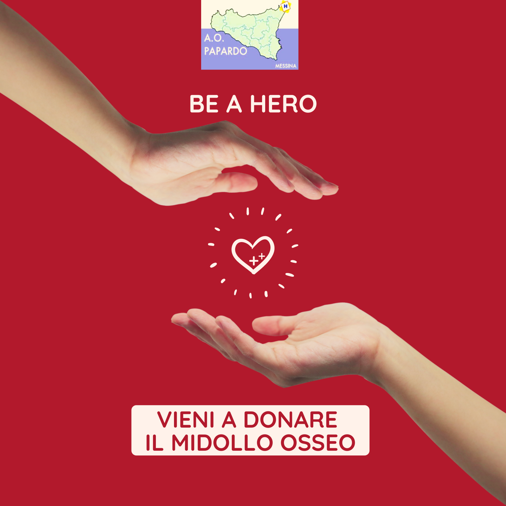 Papardo, appello per i donatori di midollo