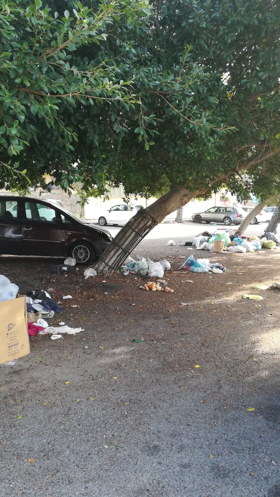 Una discarica nel parcheggio Palmara
