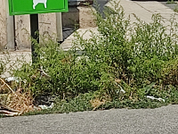 Marciapiedi sudici e verde incolto, Circolo PD: “Inascoltato ogni nostro appello”