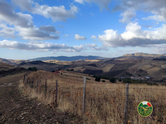 Antibracconaggio, sanzioni degli uomini della Forestale