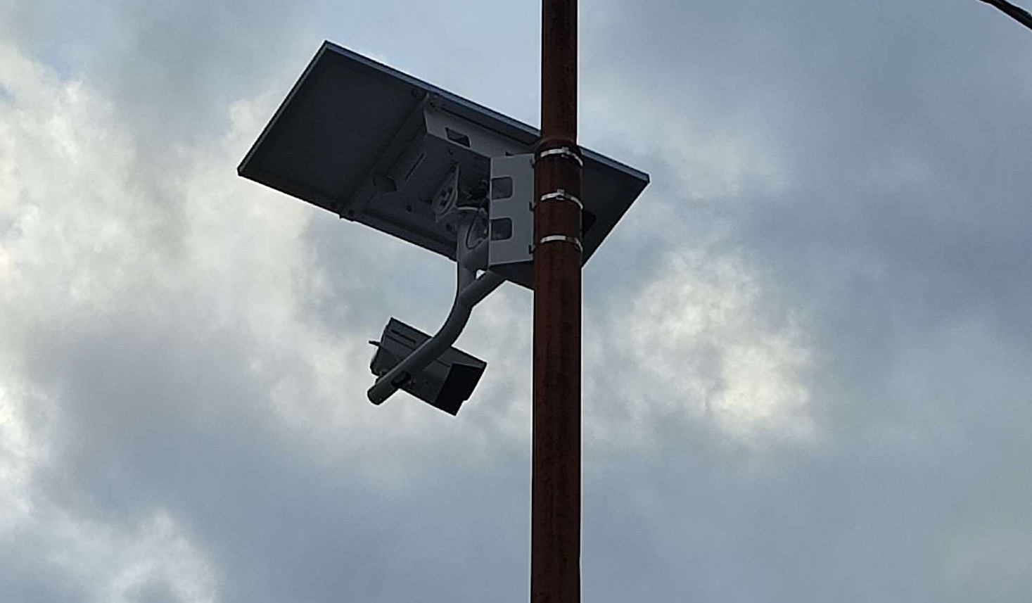 La V fa guerra agli zozzoni: installate le foto-trappole