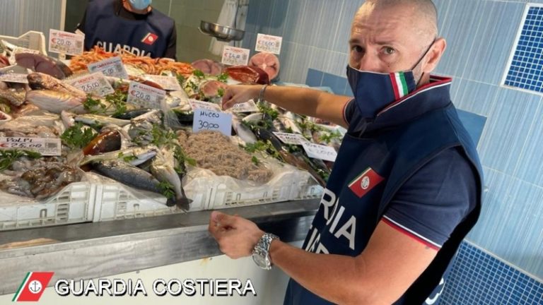 Maxi sequestro di prodotti ittici