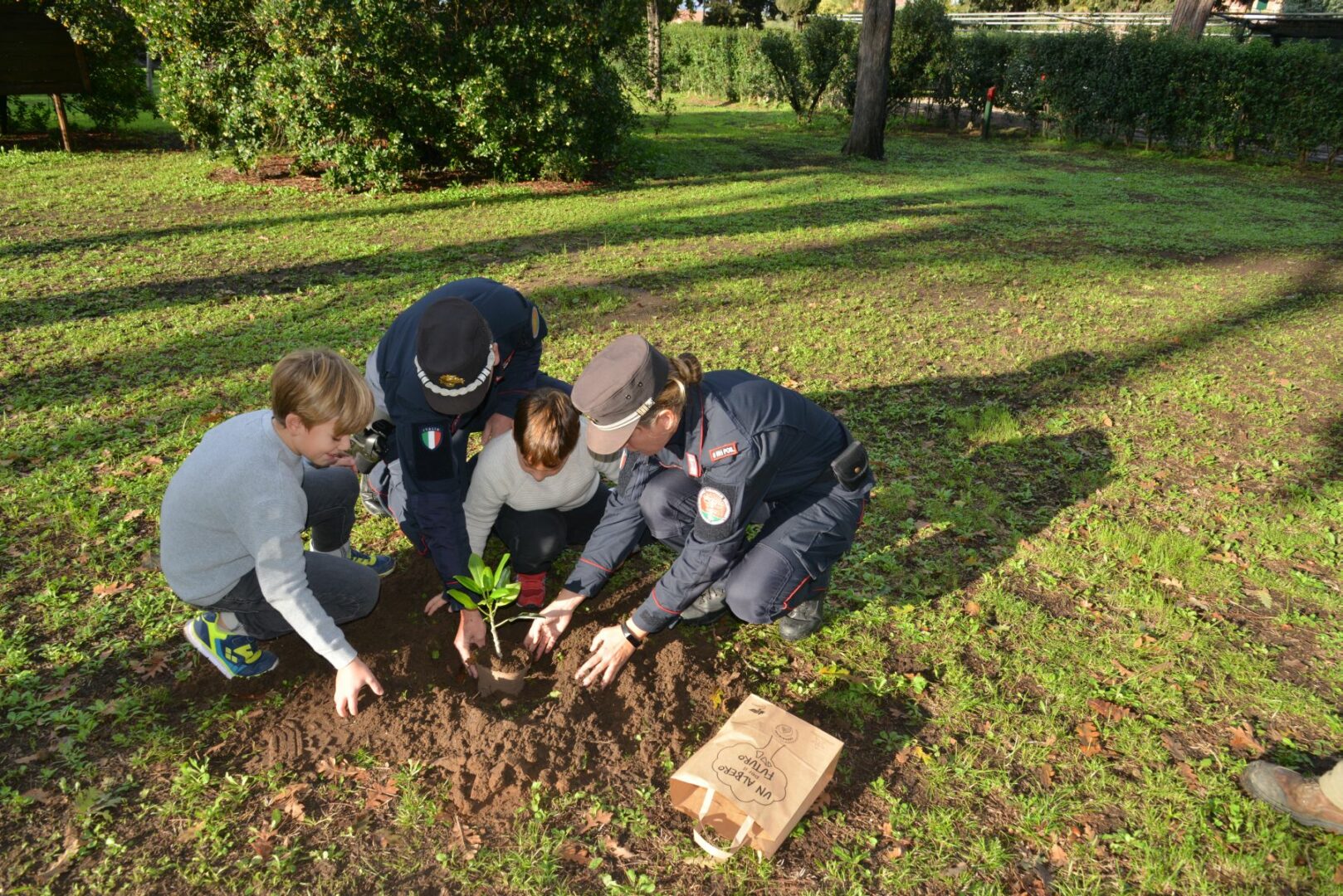 Centinaia di Alberi Falcone donati alle scuole