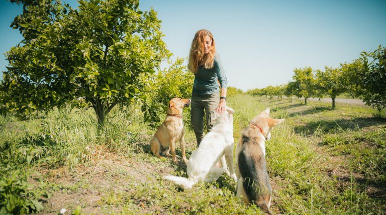 Fire e la sostenibilità ambientale: adottati 100 alberi