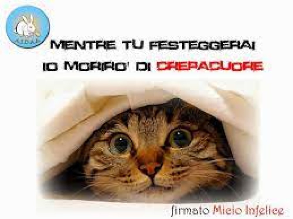 Aidaa: “I sindaci vietino i botti di Capodanno”