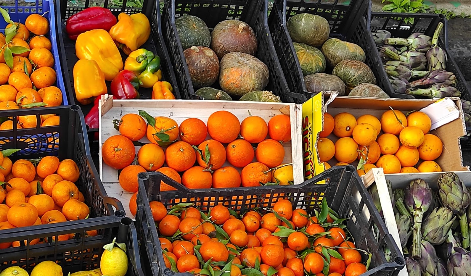 Sequestro di frutta e verdura ad ambulanti