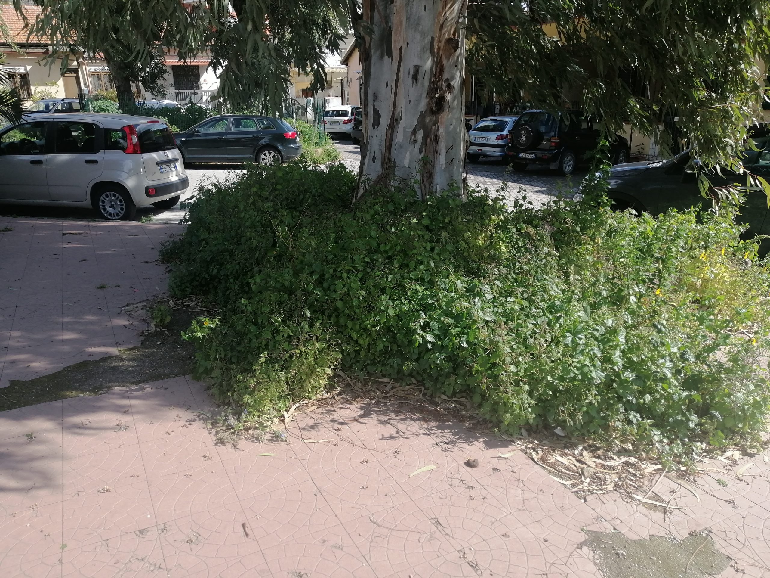 Piazzetta di Ritiro nell’oblìo, Sorbello chiede interventi