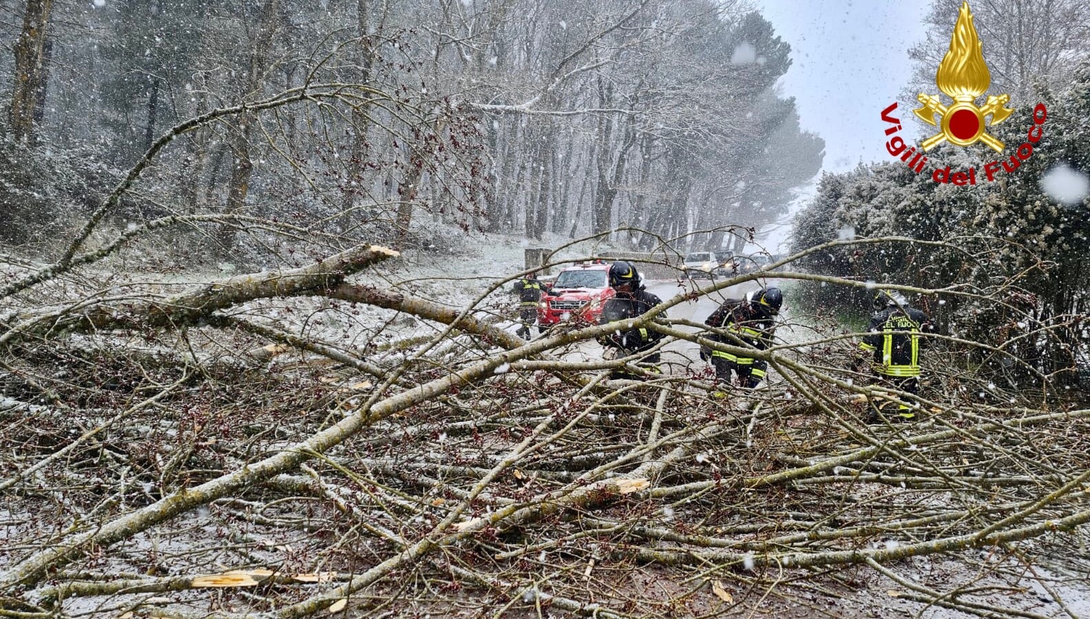 Mistretta, albero s’abbatte sulla Sp 176