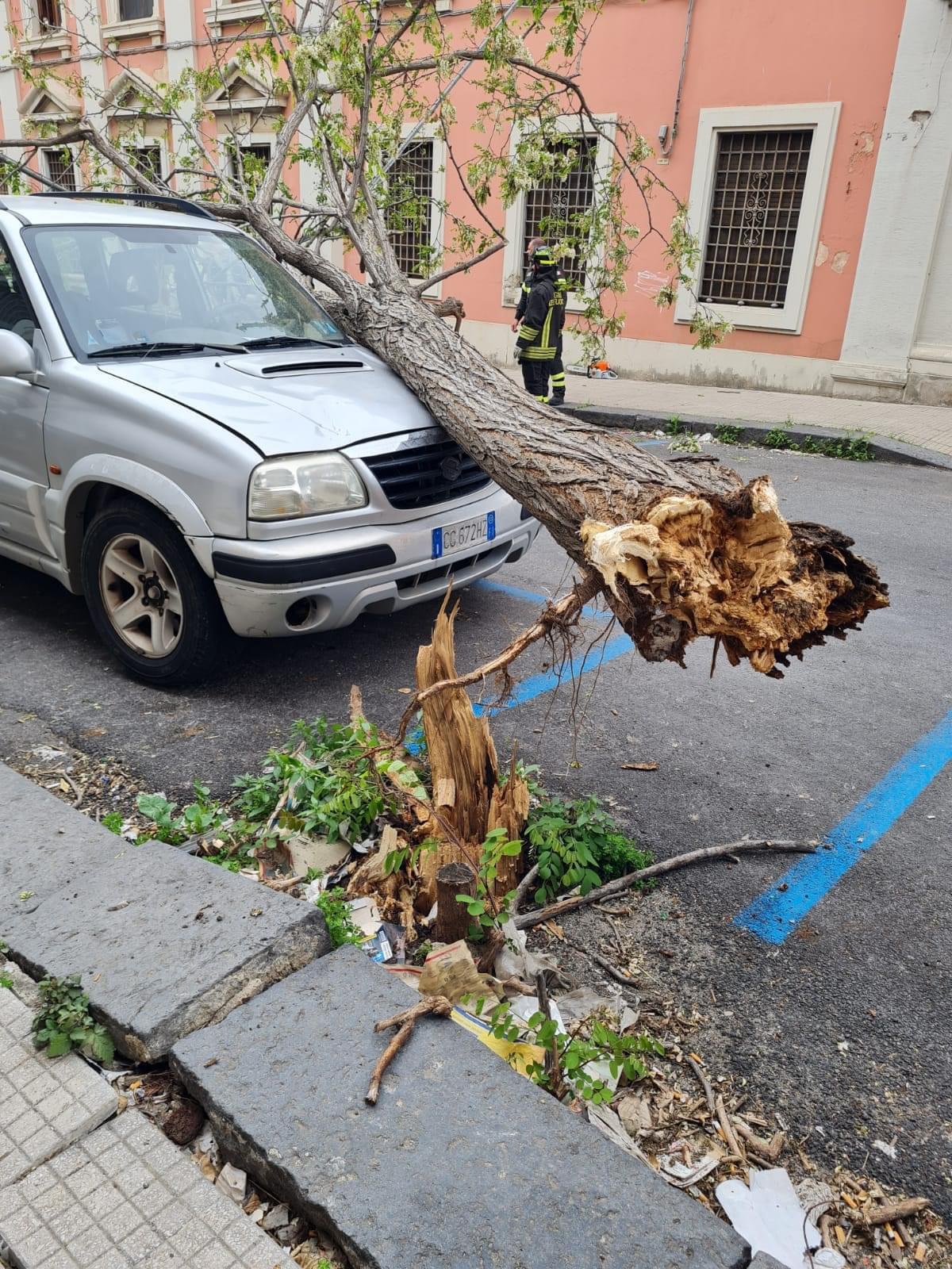 Maltempo, albero si schianta su un’auto