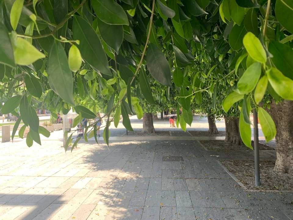 Piazza Cairoli abbandonata, i commercianti hanno paura