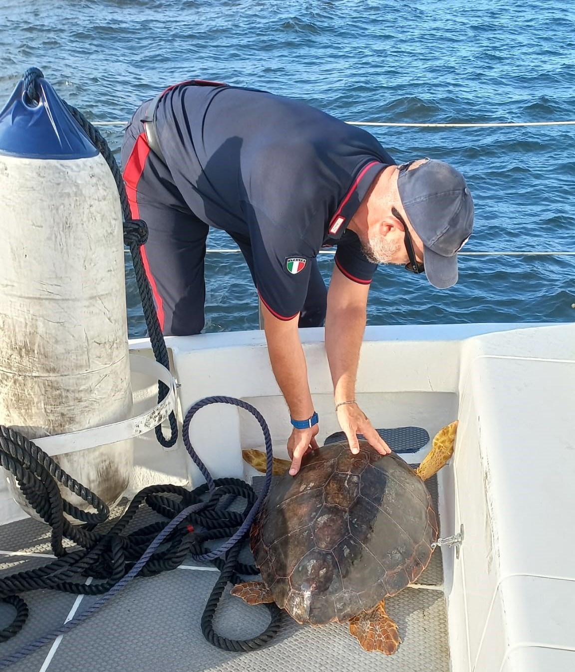 Carabinieri salvano una tartaruga Caretta Caretta