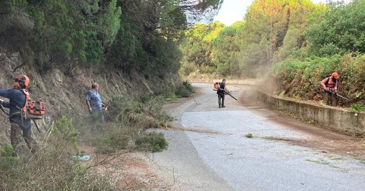 VI Municipalità: decentramento e scerbatura