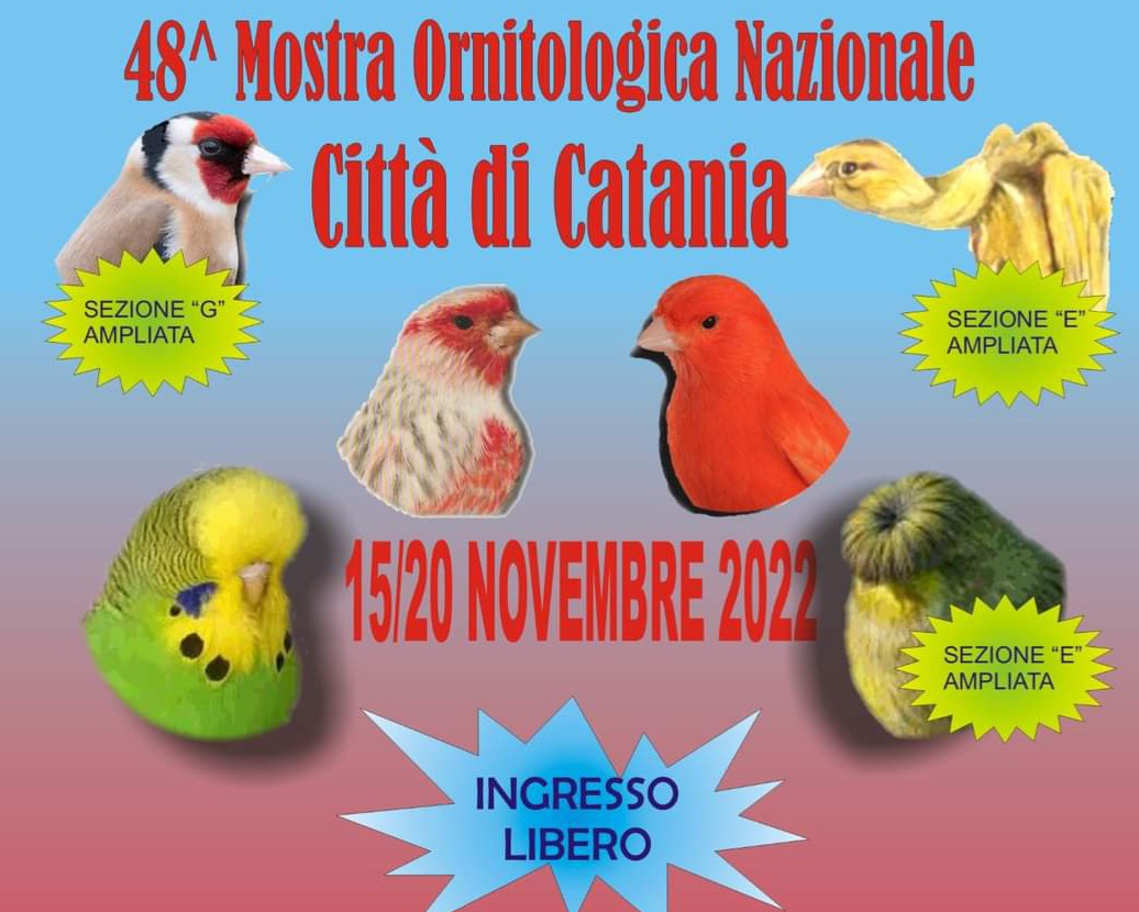 Mostra ornitologica a Catania, presenti molti espositori messinesi