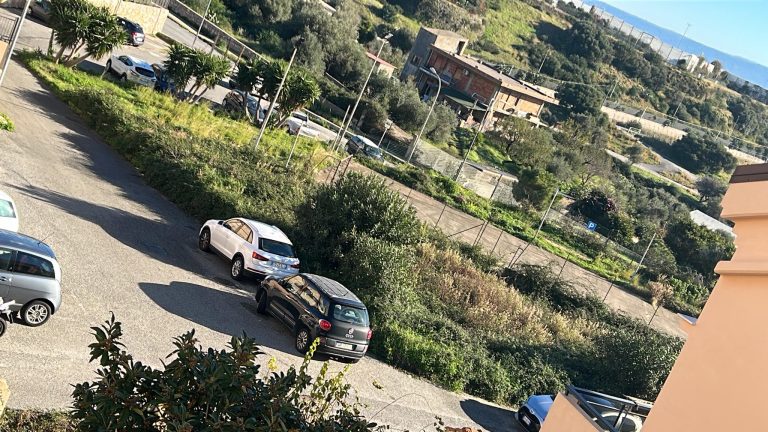 Il parto in strada era frutto di allucinazioni