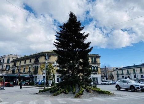 Cairoli, domani sarà rimosso l’albero di Natale