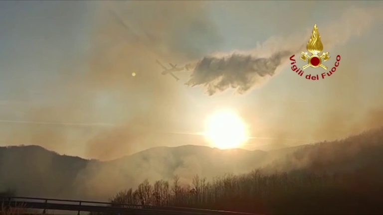 In fiamme un bosco in provincia di Isernia