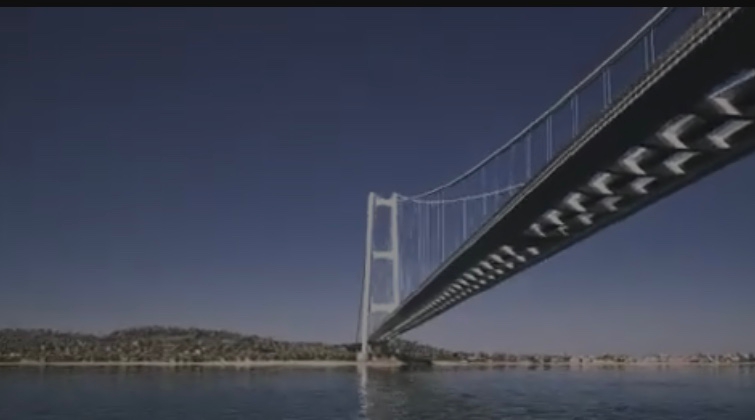 Ponte, Aidaa: “A rischio 238 specie di uccelli”