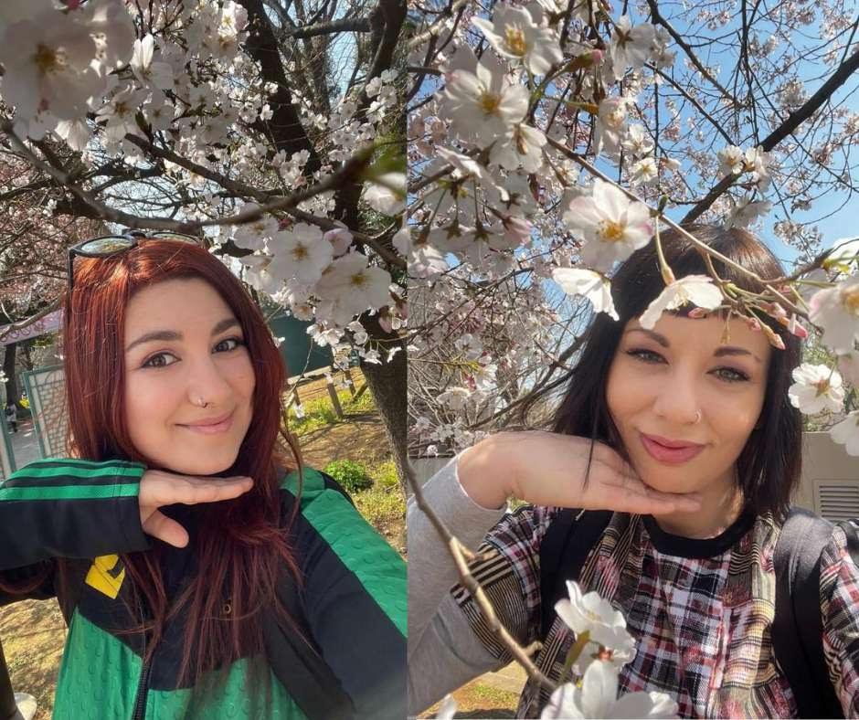 Il mio viaggio in Giappone: casa è dove hai lasciato il cuore nel mondo: Hanami a Tokyo