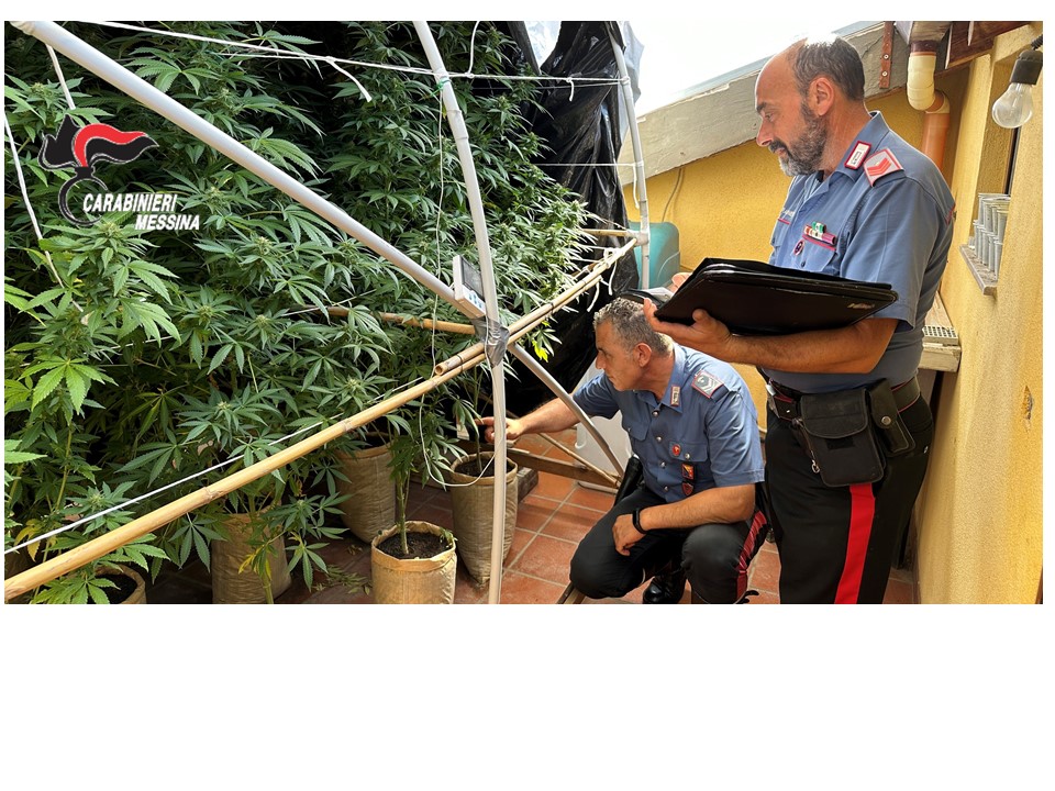 Coltivava droga, arrestato 47enne dai carabinieri