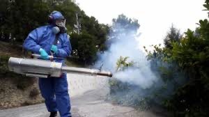 Disinfestazione: operatori Messinaservizi attivi contro insetti e zanzare