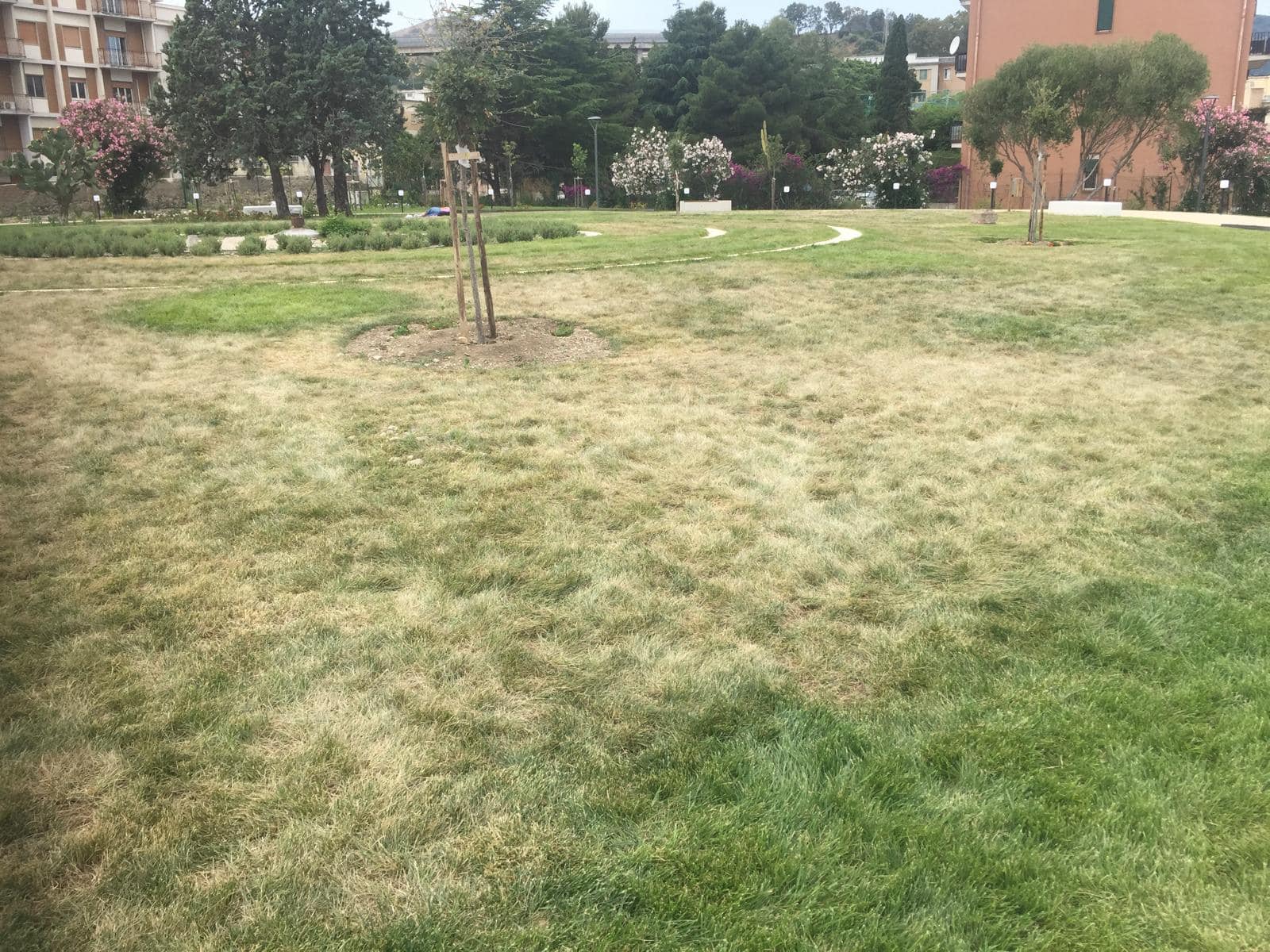 Parco Aldo Moro: venerdì “Musiche al tramonto”