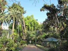 Orto Botanico entra nella “Rotta culturale europea”