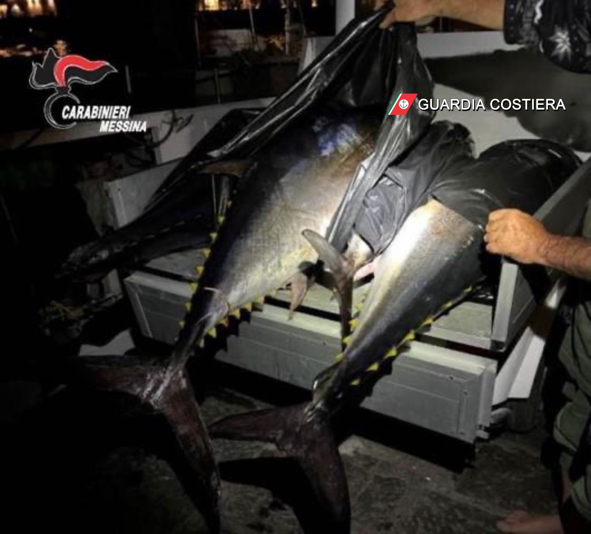 Violano norme sulla pesca: sanzionate due persone