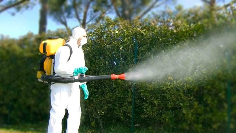 Messinaservizi inizia la disinfestazione contro insetti e zanzare