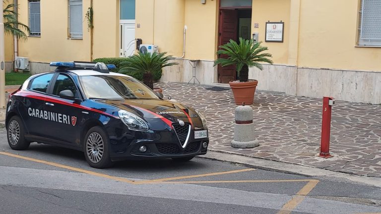 Controlli a tappeto dei carabinieri: 2 denunce