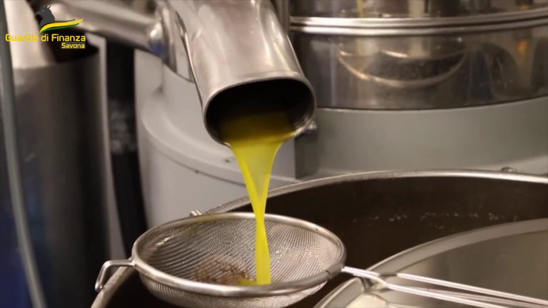 Savona, scoperta truffa sull’olio taggiasco