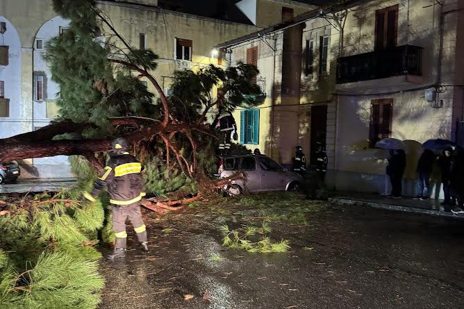 Si schianta albero, tragedia sfiorata a San Matteo