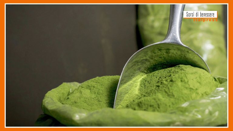 Sorsi di benessere – Tisana alla moringa, elisir di salute ed energia
