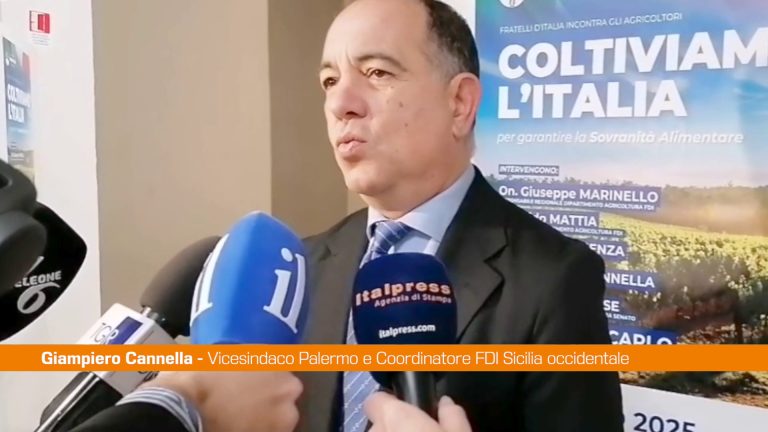 Cannella “Fdi impegnata nella tutela del Made in Italy”
