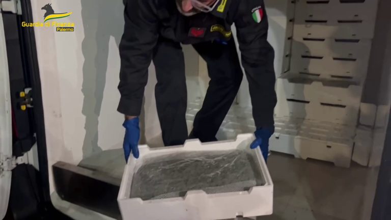 Sequestrati 800 chili di pesce non tracciato nel Palermitano