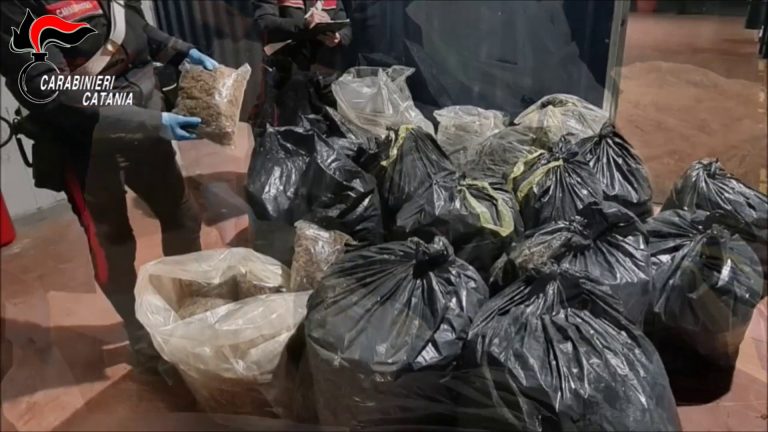 Sequestrati a Catania 250 chili di marijuana