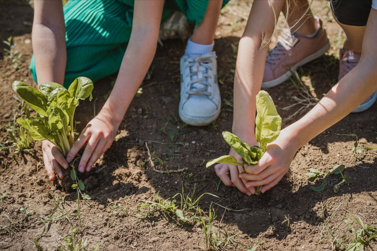 A Messina nasce l’orto sociale di Slow Food