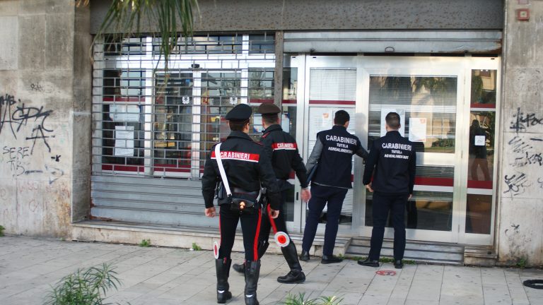 Truffa ai danni della UE: sequestrati 160mila euro dai carabinieri