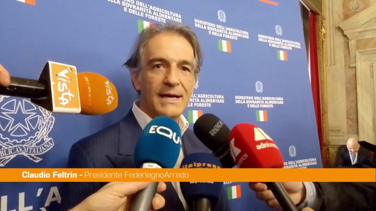 Sisma 2016, Feltrin “Utilizzo legno in edilizia occasione importante”