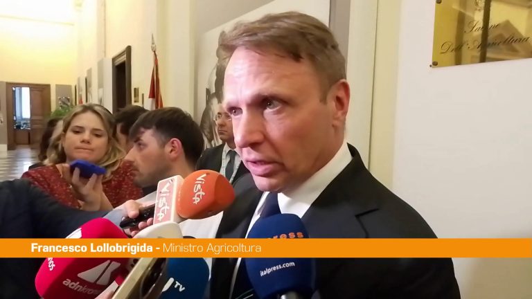 Sisma 2016, Lollobrigida “Utilizzo legno in edilizia esempio virtuoso”