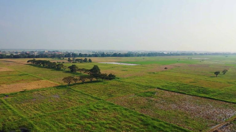 Cambiamenti climatici, a rischio 1 coltura su 3