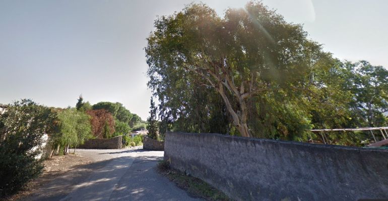 Alberi pericolanti a Vulcano: segnalazione dei carabinieri