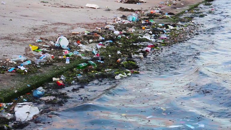 Plastica in Mare, migliaia di rifiuti sui fondali del Mar Mediterraneo