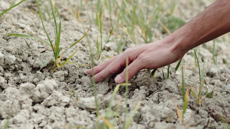 I cambiamenti climatici hanno impatti irreversibili