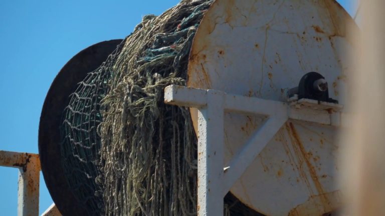 Pesca, bilaterale Italia-Francia per strategie comuni