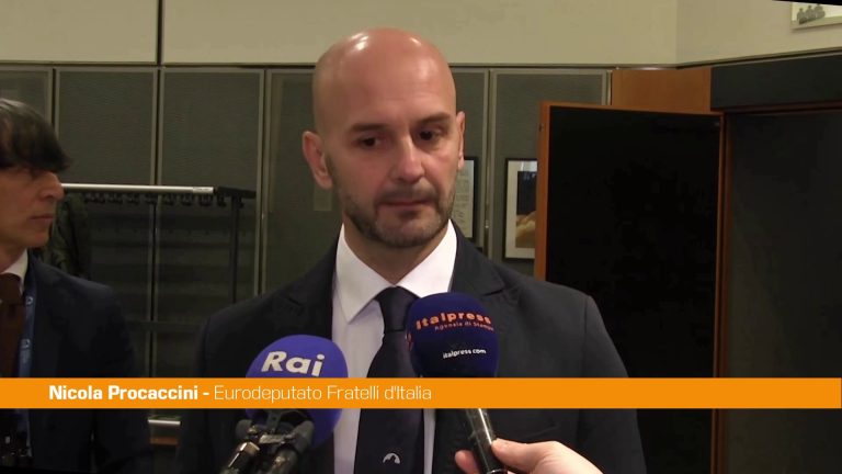 Nucleare, Procaccini “Il punto non è ‘se’, ma ‘quando'”