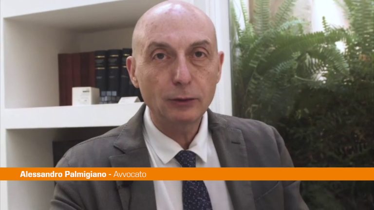 Palmigiano “Convenzione con Associazione Elementi per i più deboli”