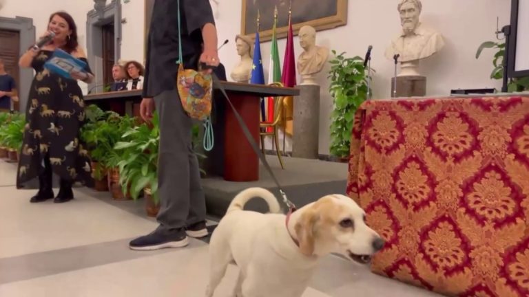 Ai nastri di partenza il premio “La Penna d’Oca del Campidoglio”